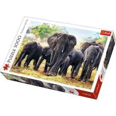 Puzzle 1000 Afrykańskie Słonie
